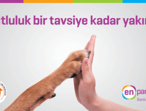 Enpara.com’dan yeni bir sosyal sorumluluk projesi