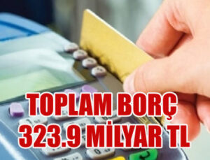 Kredi kartı harcamaları 81.6 milyar TL