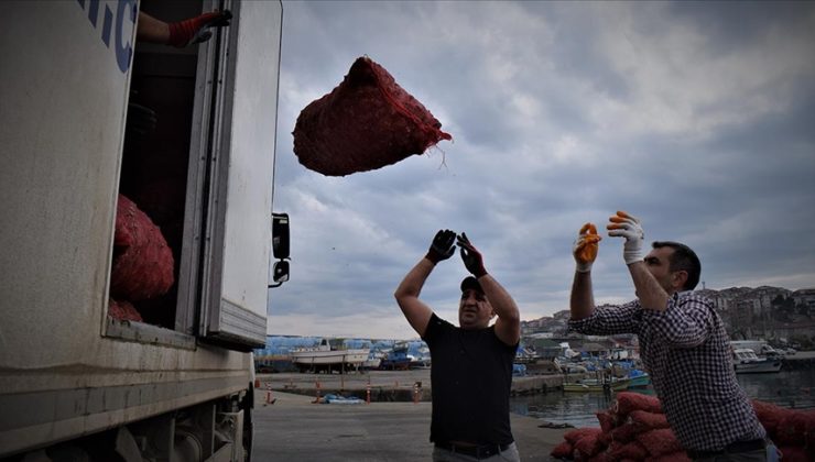 Türkiye’nin 11 aylık deniz salyangozu ihracatı 20,5 milyon doları aştı