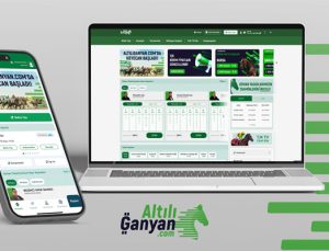 Hitay Holding AltiliGanyan.com’u hayata geçirdi