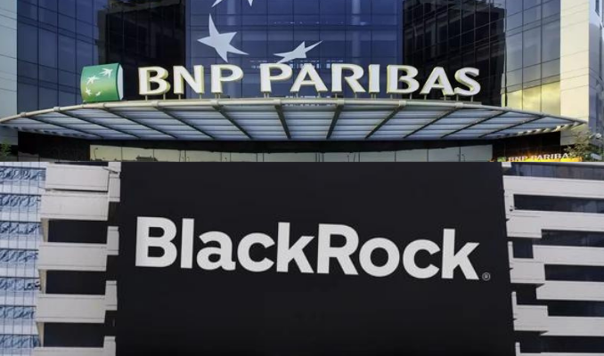 BlackRock ve BNP’ye göre yapay zeka çılgınlığı henüz bitmedi